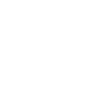 Salt Water Wellness Logo